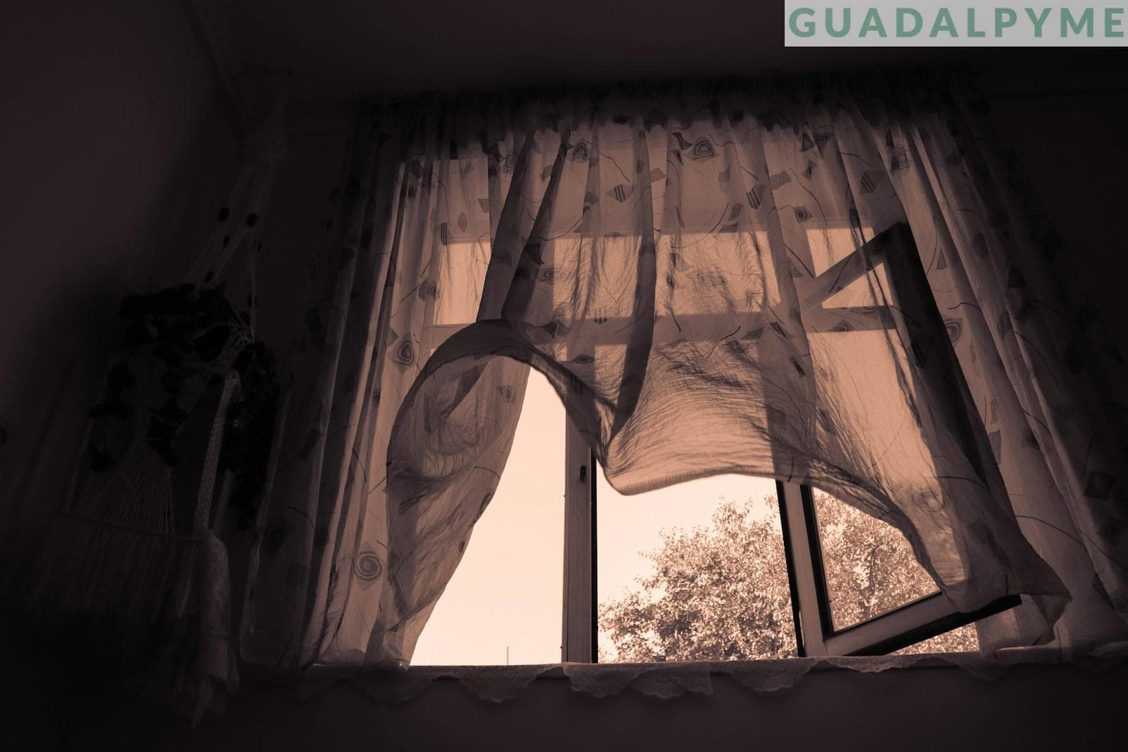 mosquiteras para ventanas abatibles